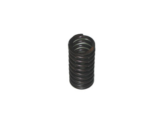 Пружина клапана малая (Д-240)  240-1007046